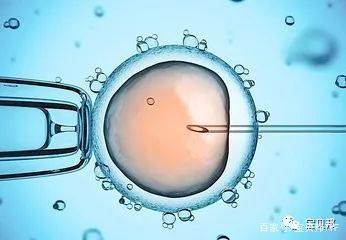 靠谱代怀包成功